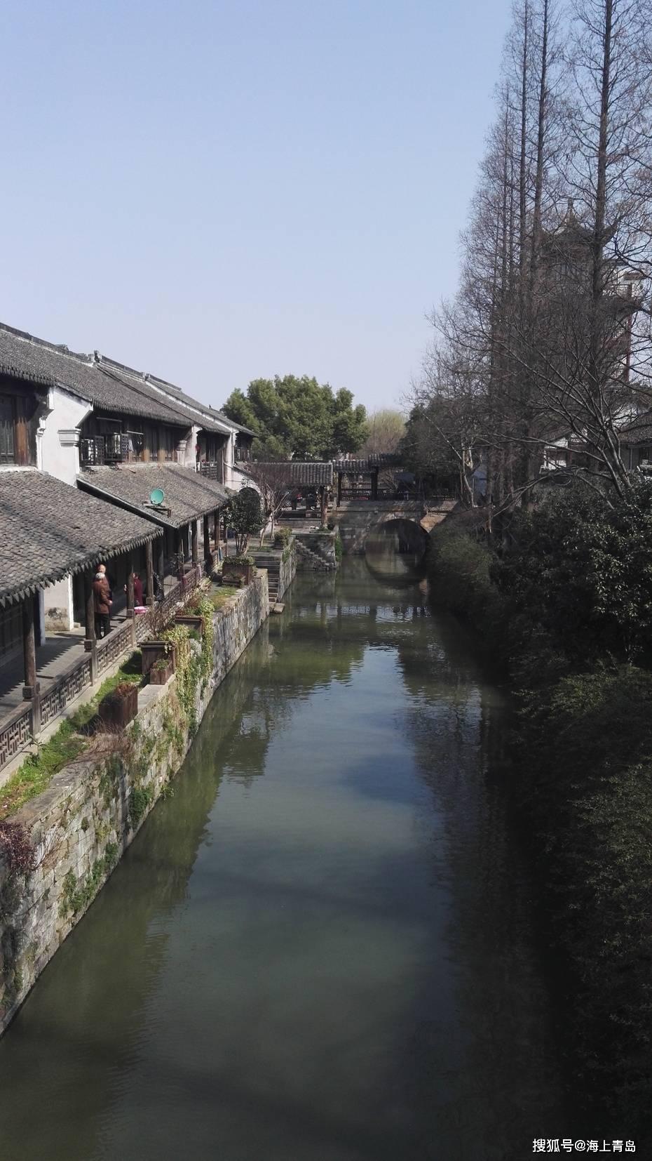 拯救小松鼠